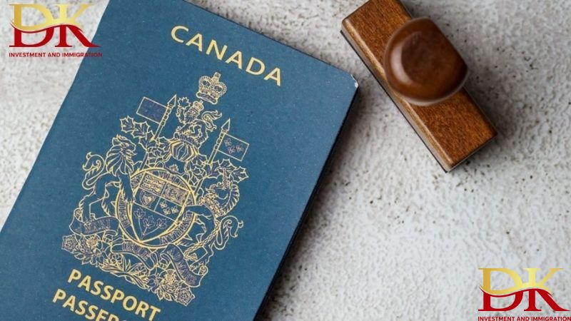 start-up-visa-la-gi